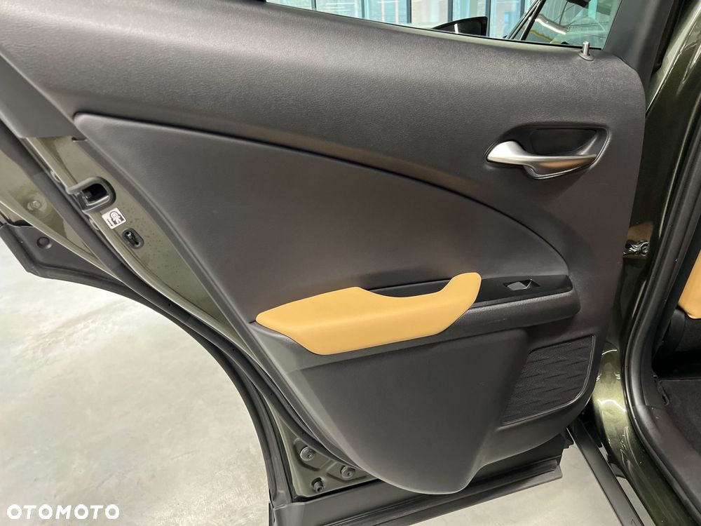 Lexus UX 250h GPF F Sport Design 2WD - 29