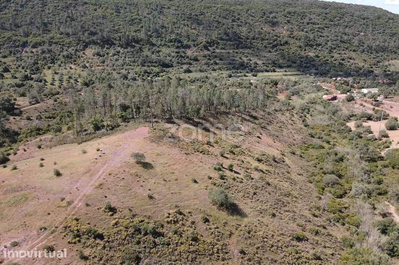 Terreno Rústico com 5.500m2 em Vale, S.B. Messines - Grande imagem: 4/13