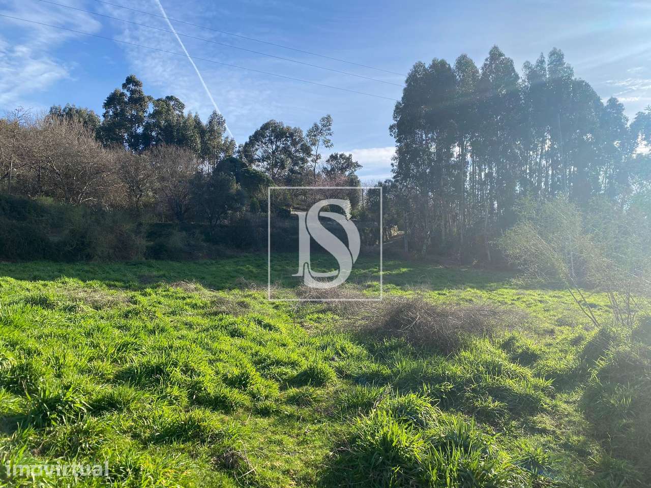 TERRENO com PROJETO APROVADO para ALDEAMENTO TURÍSTICO - Grande imagem: 4/11