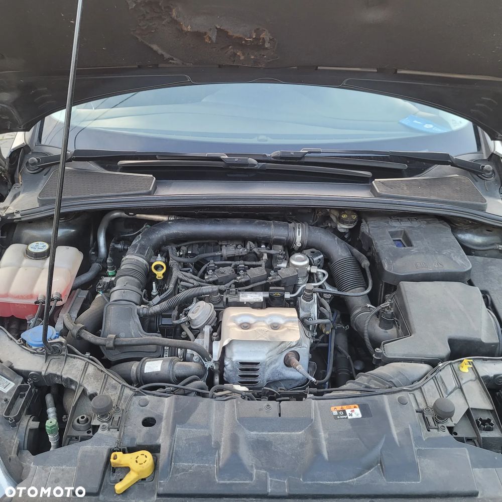 Ford Focus 1.0 EcoBoost Gold X (Edition Start) - 5