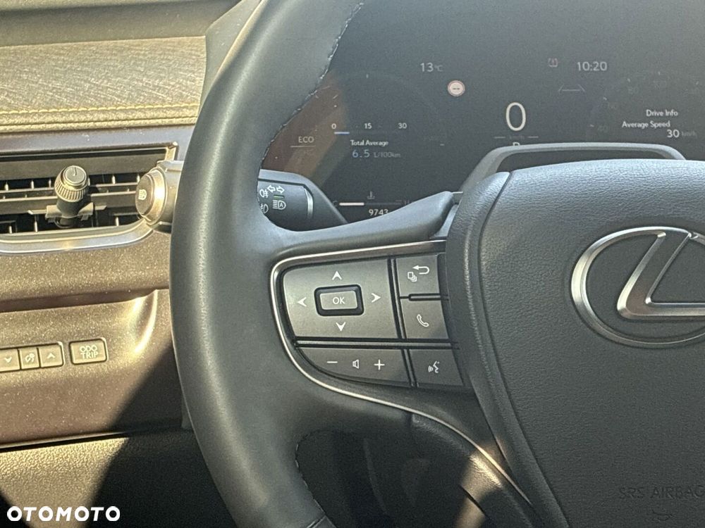 Lexus UX 300h F Sport Design AWD - 19