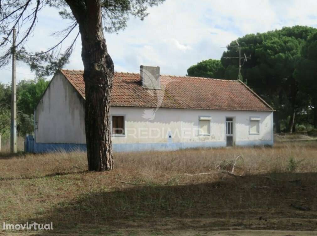 Monte Alentejano - Grândola - Grande imagem: 3/39