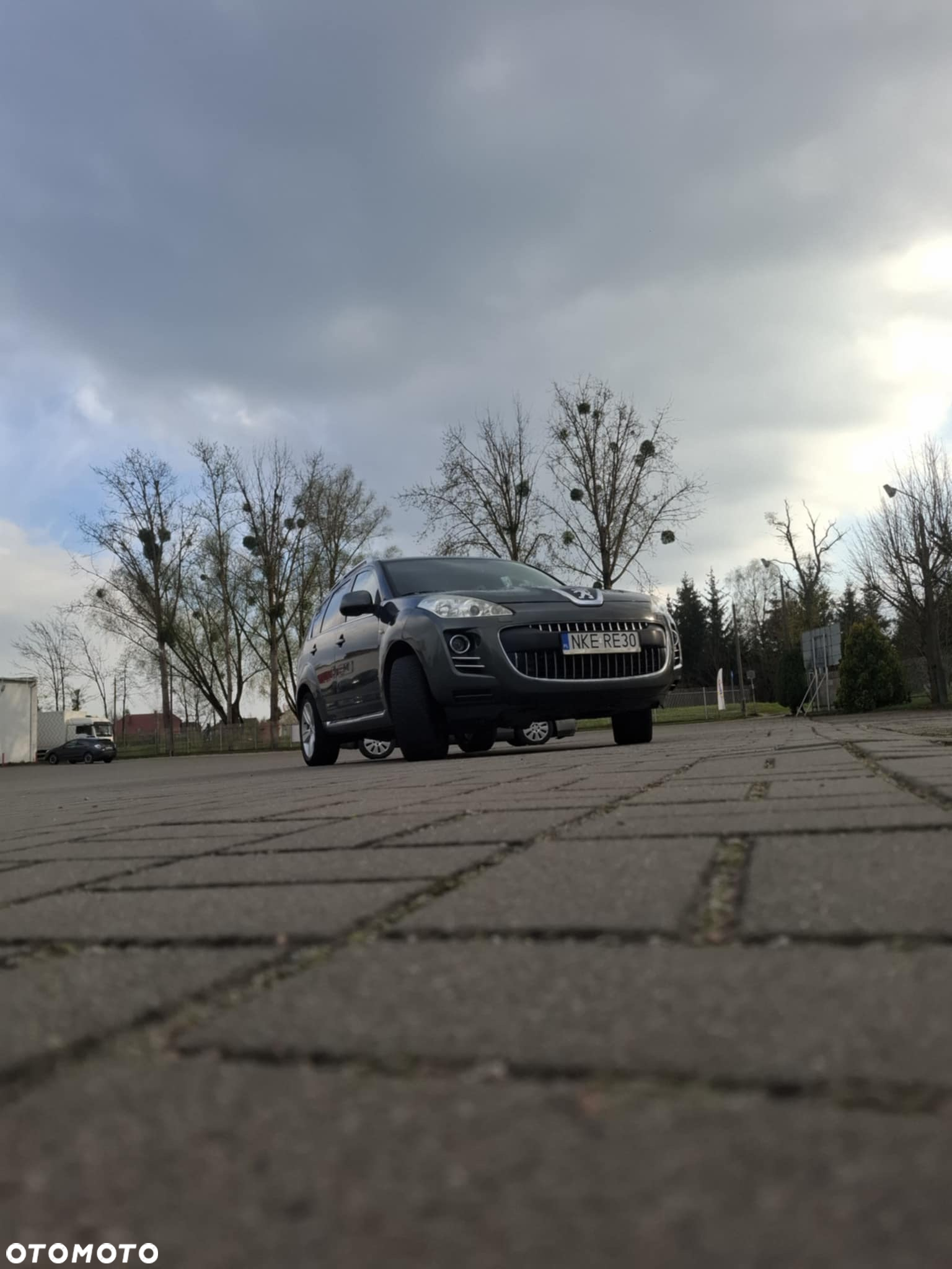 Peugeot 4007 2.2HDi Platinum - 6