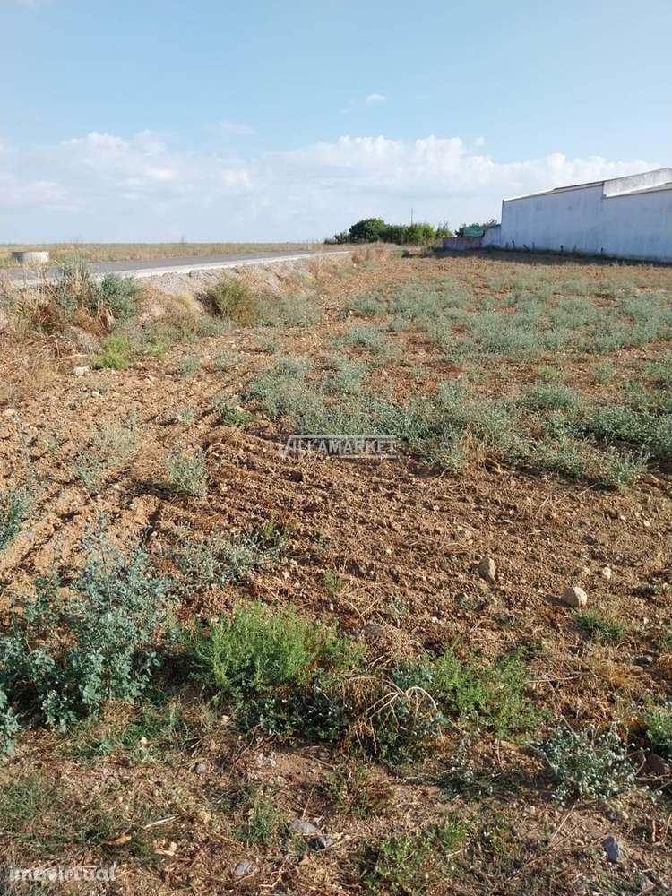Terreno  em S João de Negrilhos - Grande imagem: 3/5