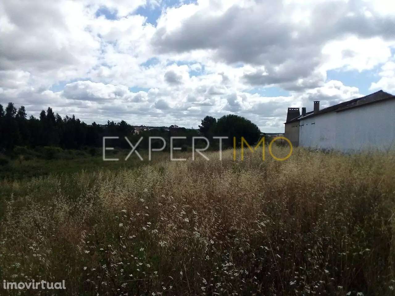 Terreno Manique do Intendente Azambuja com 2,6 hectares - Grande imagem: 4/15