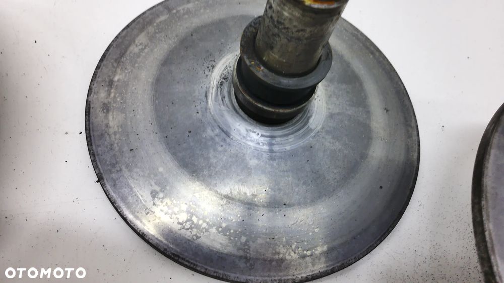 Ligier Microcar Wariator Lombardini - 8