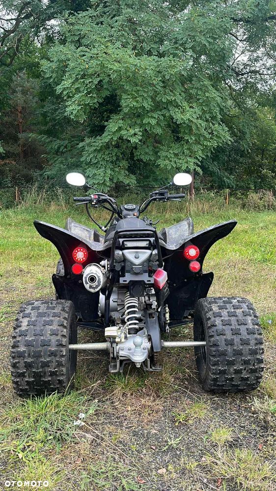 Aeon Cobra - 6