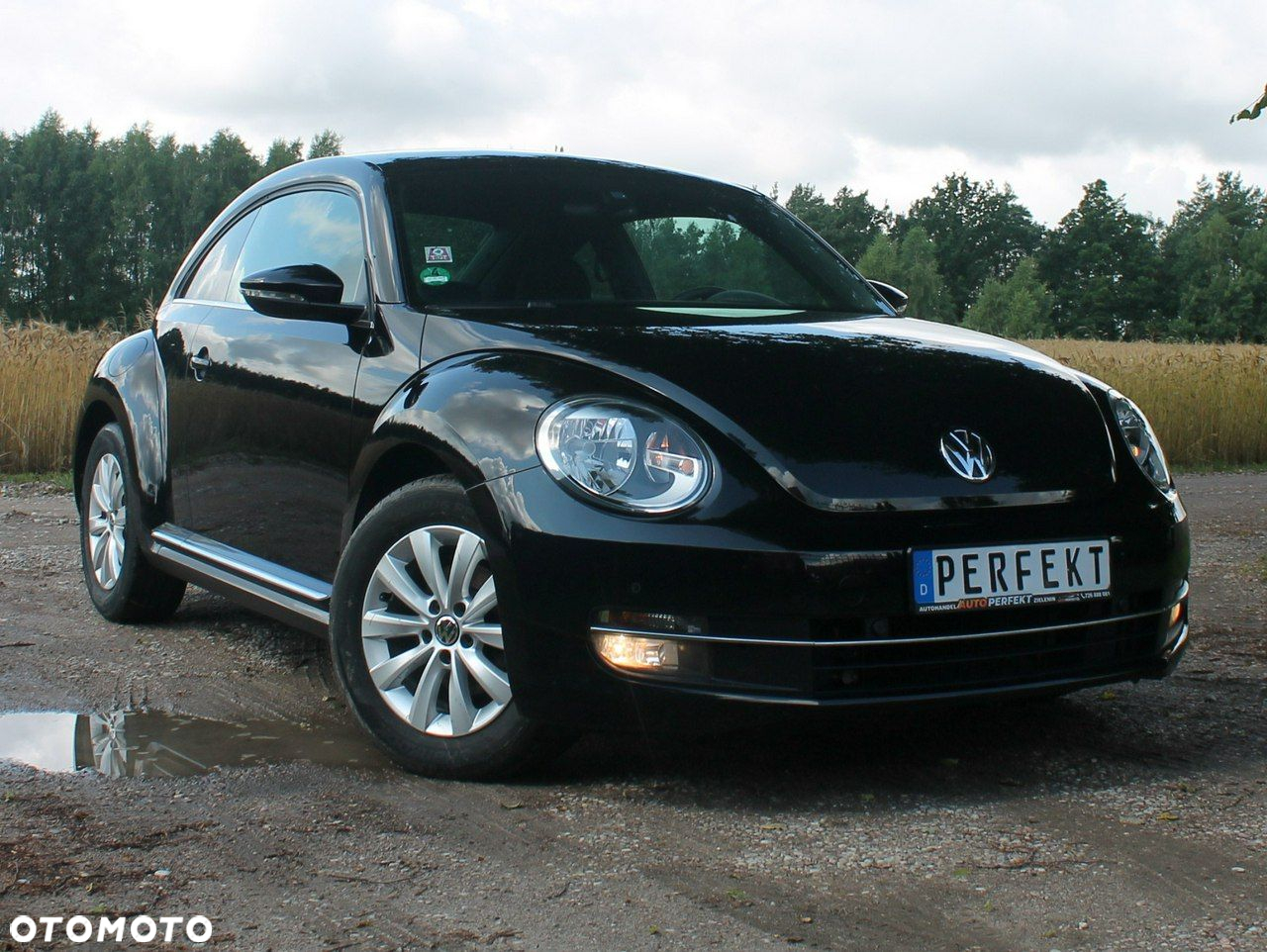 Volkswagen Beetle - 18