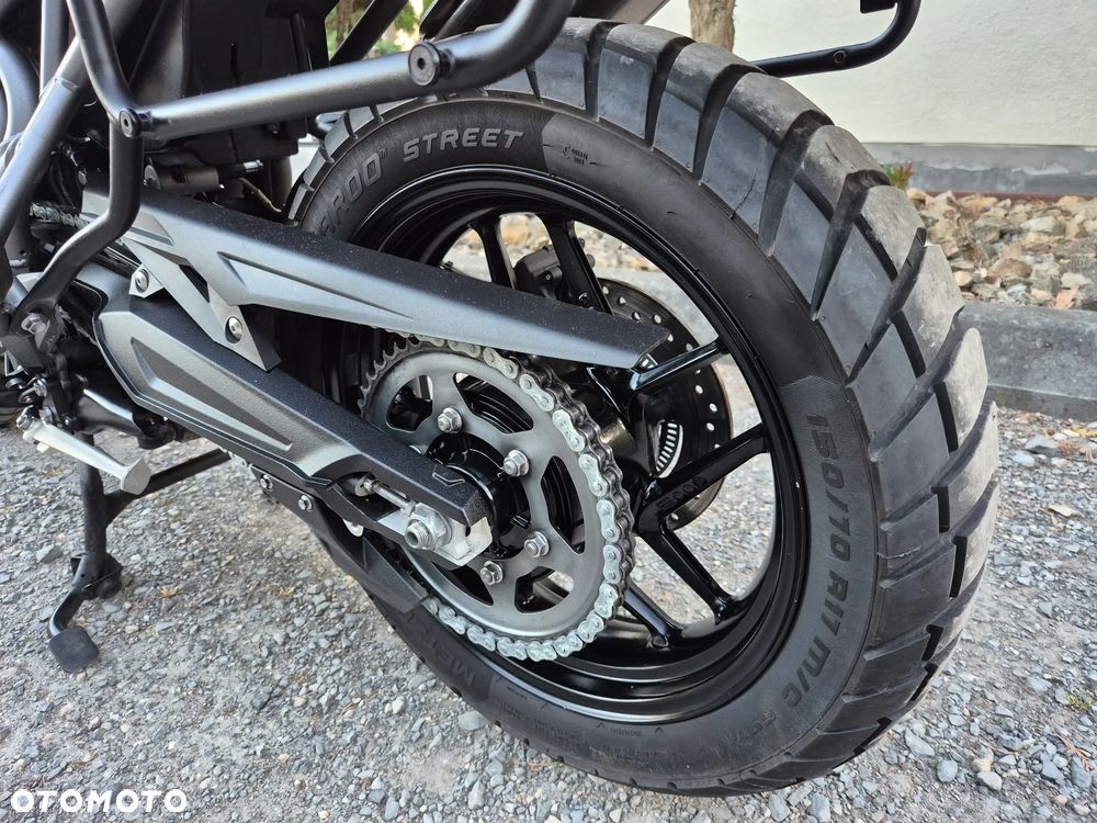 Triumph Tiger - 28