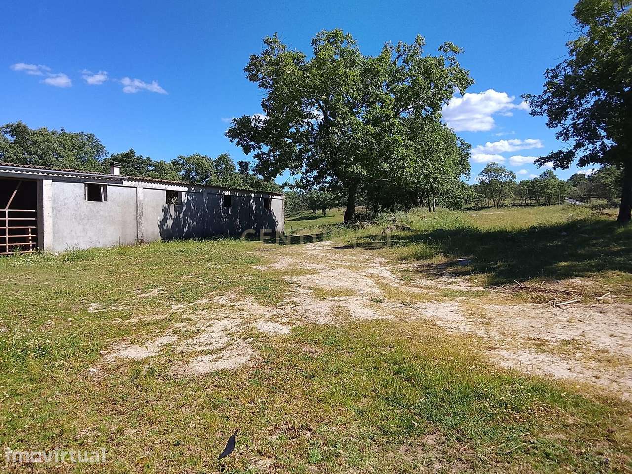 Terreno Rústico, 9800m2, com Vista para Montanha em Baraçal, Sabugal - Grande imagem: 2/8