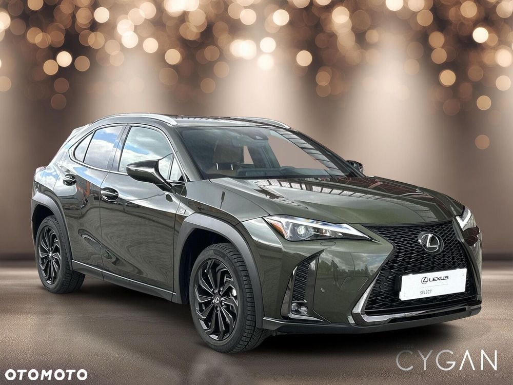 Lexus UX 250h GPF F Sport Design+ 2WD - 9
