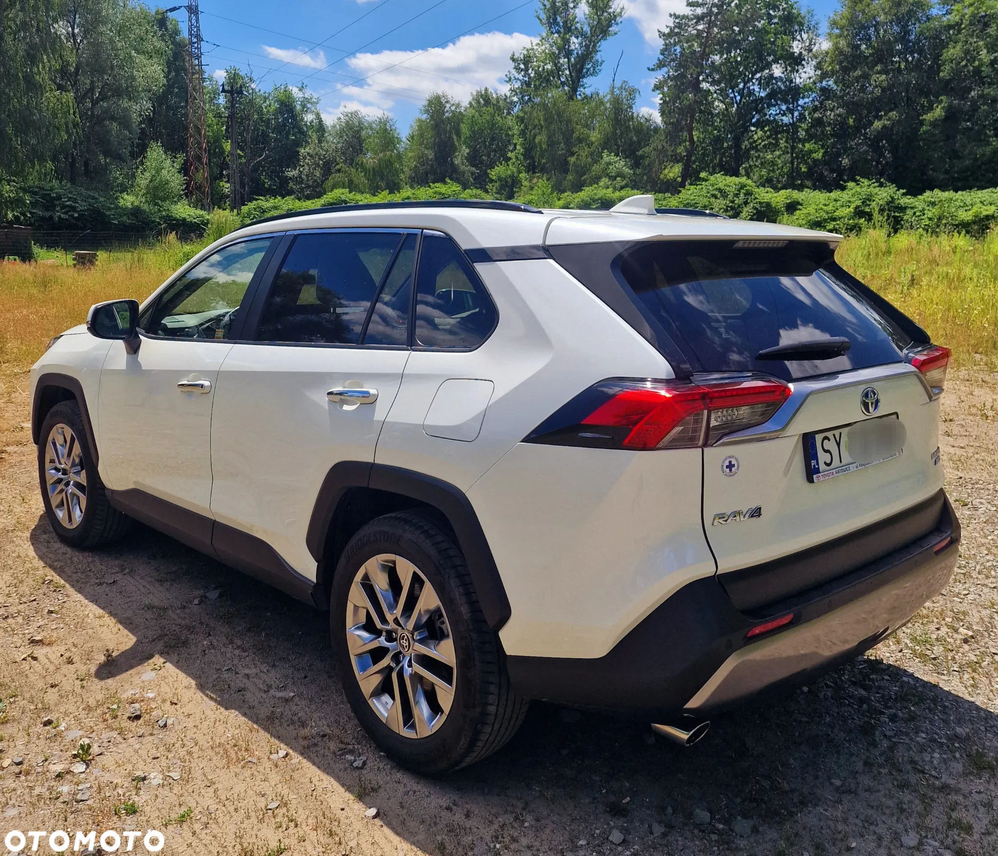 Toyota RAV4 2.5 Hybrid Executive 4x4 - 17