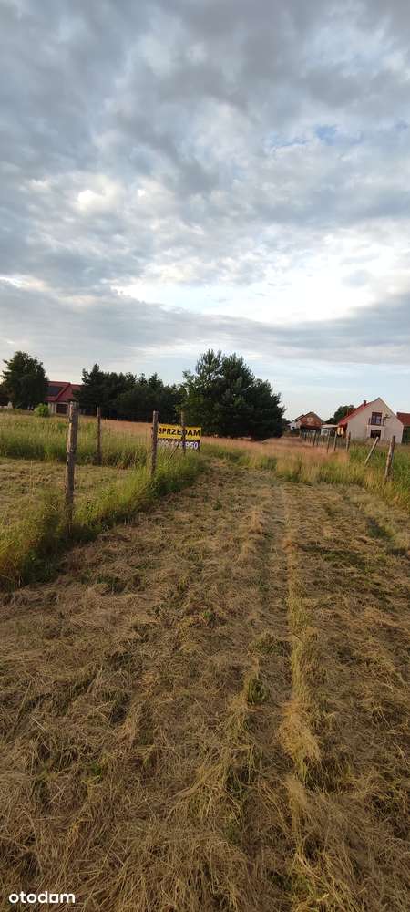Działka Nowy Dwór, koło Jelcza Laskowic 15,5ar lub 2x7,8ar - Pełny obrazek: 2/6