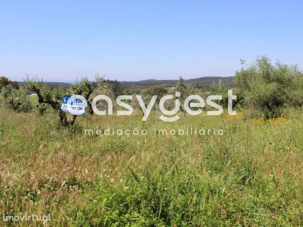 Terreno Rústico com construção em ruina junto a praia fluvial - Grande imagem: 2/8