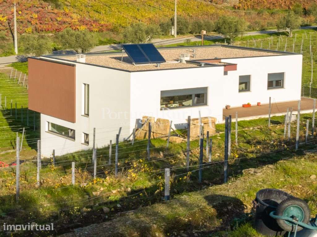 Quinta com 1,8 Hectares em Tabuaço - Grande imagem: 2/38