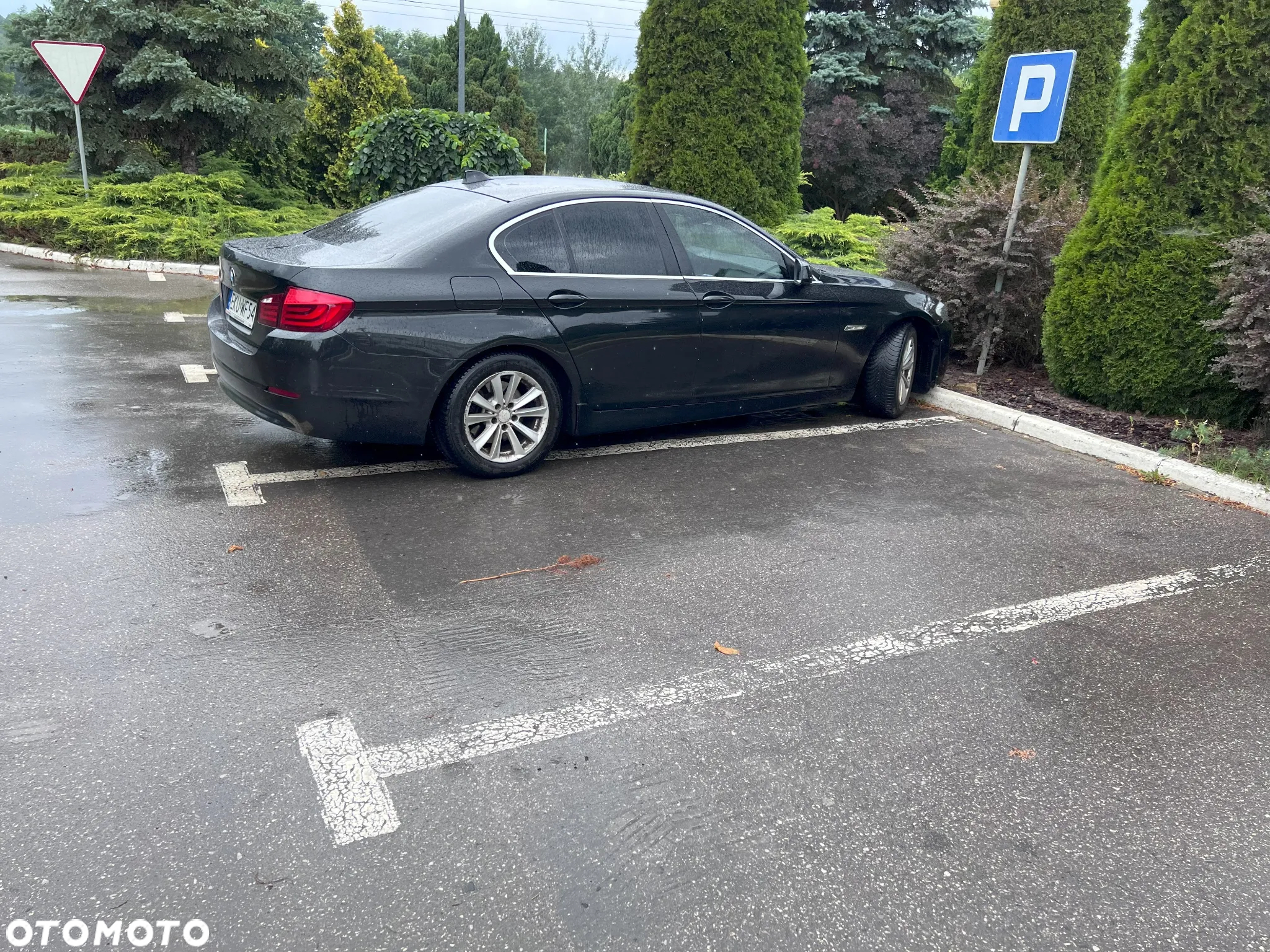 BMW Seria 5 - 11