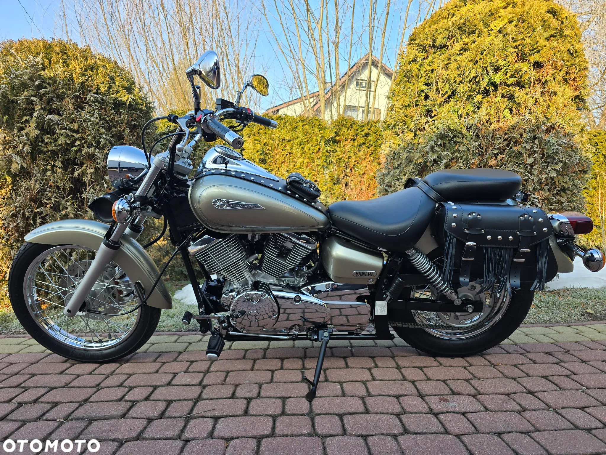 Yamaha XVS - 13
