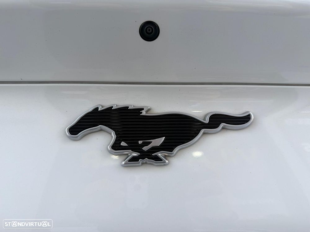 Ford Mustang Mach-E Standard - 13