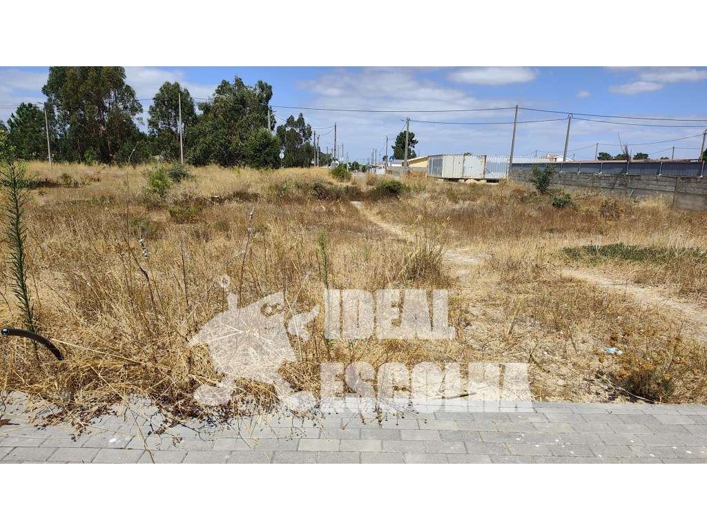 TERRENO PARA CONSTRUÇÃO 150 000€ 
PALMELA / QUINTA DO ANJO - Grande imagem: 4/8
