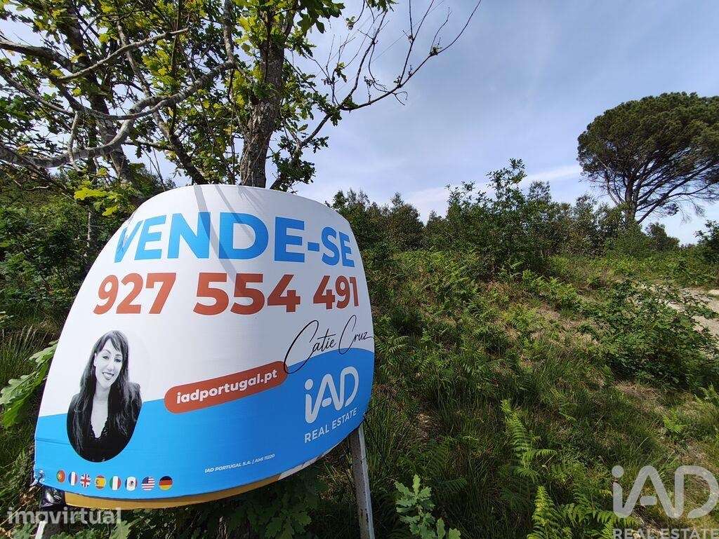 Terreno em Sande Vila Nova e Sande São Clemente - Grande imagem: 3/15