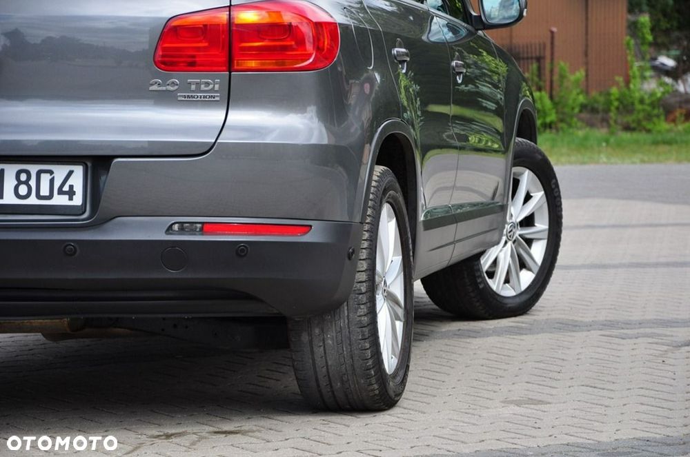Volkswagen Tiguan - 17