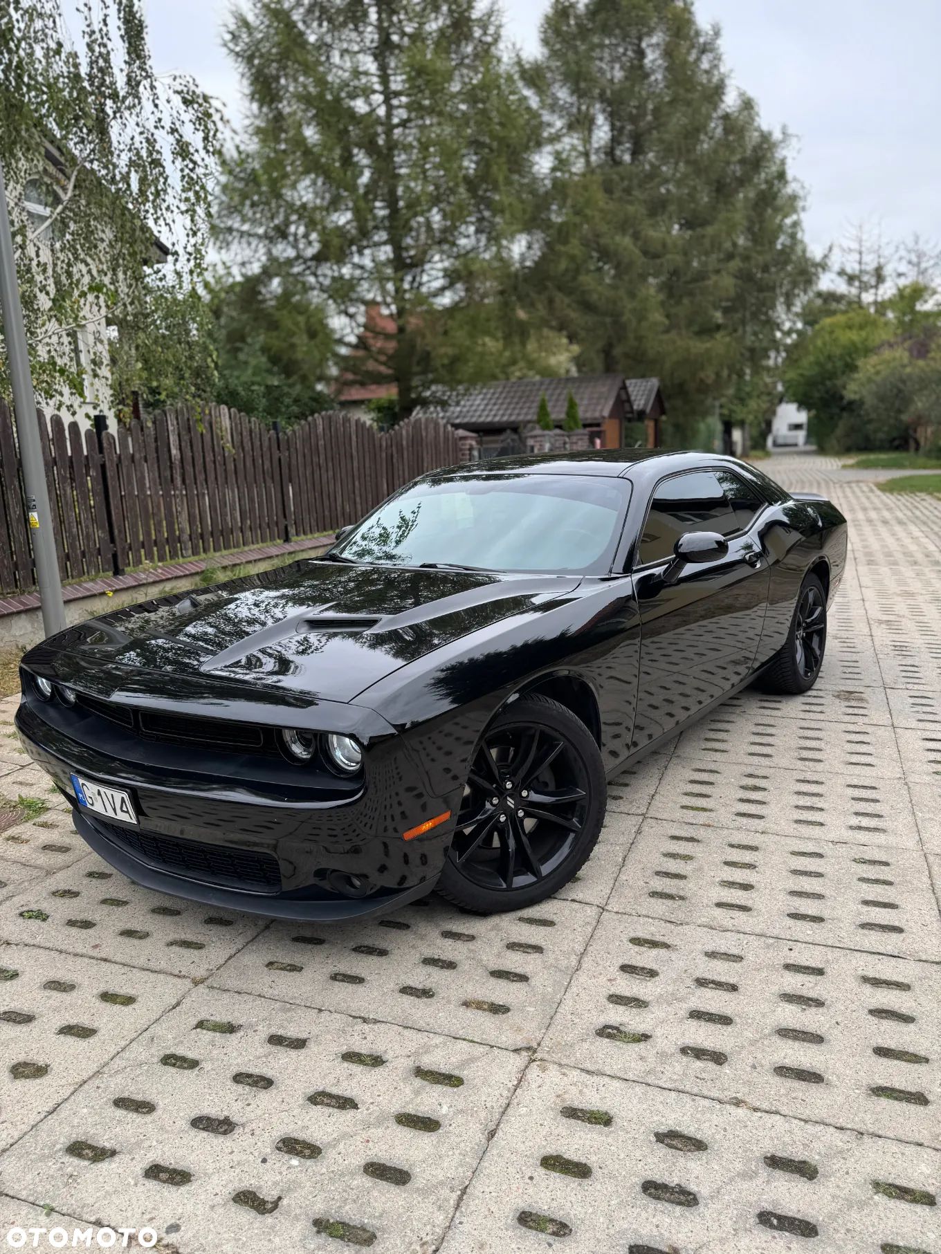 Dodge Challenger Automatik SXT Plus - 1