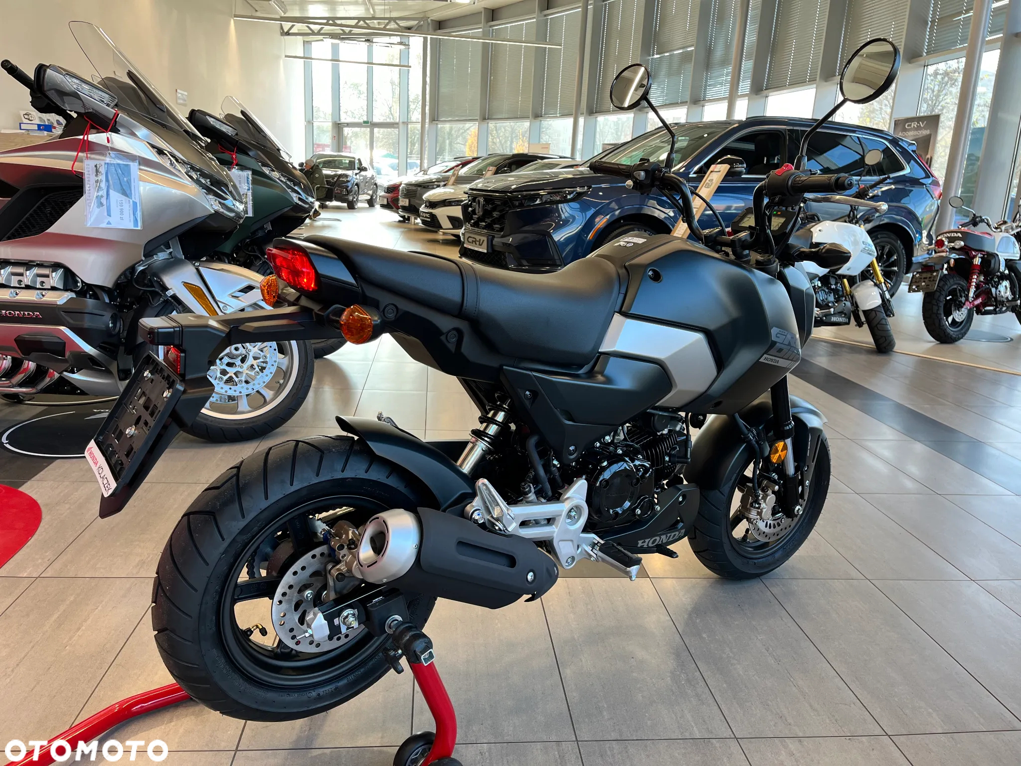 Honda MSX 125 - 3