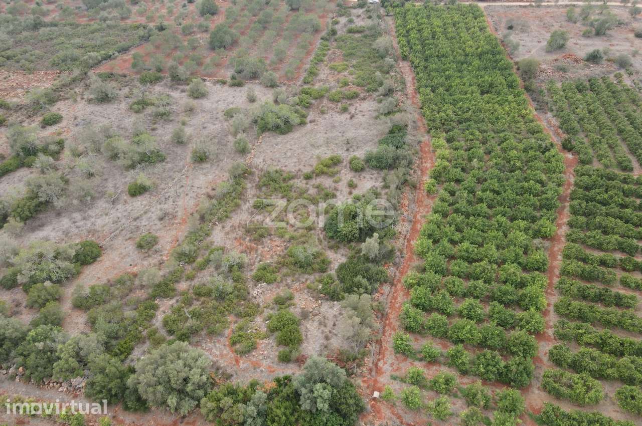 Terreno Rústico em Messines, em Carrascal com 6.080m2 - Grande imagem: 5/15
