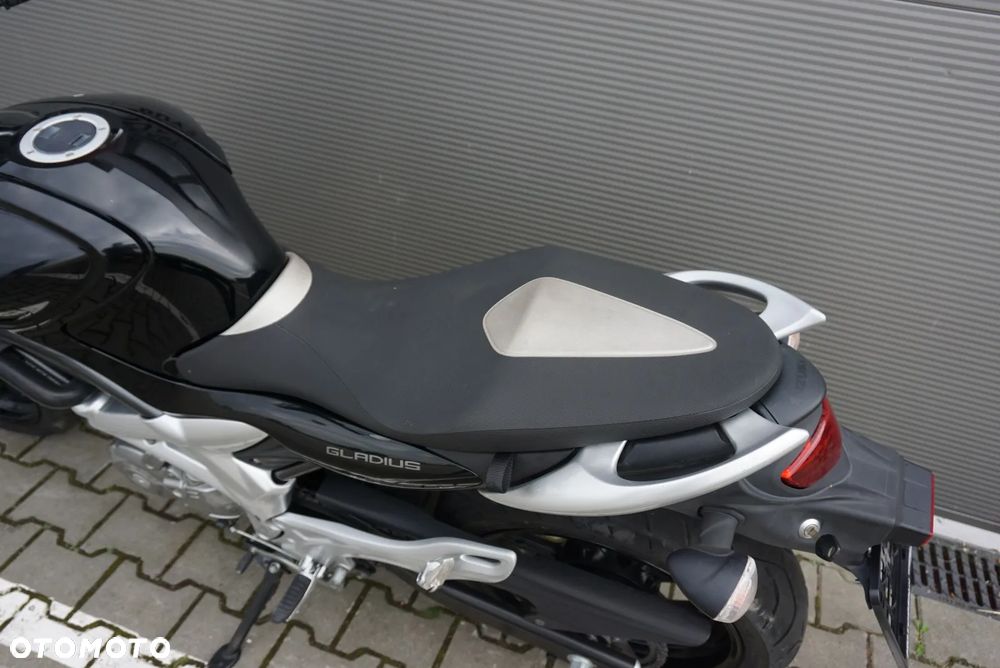 Suzuki Gladius - 14
