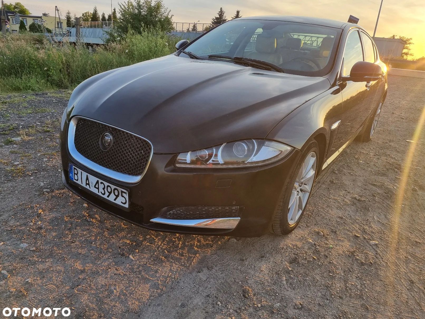 Jaguar XF 3.0 V6 D S Premium Luxury - 1