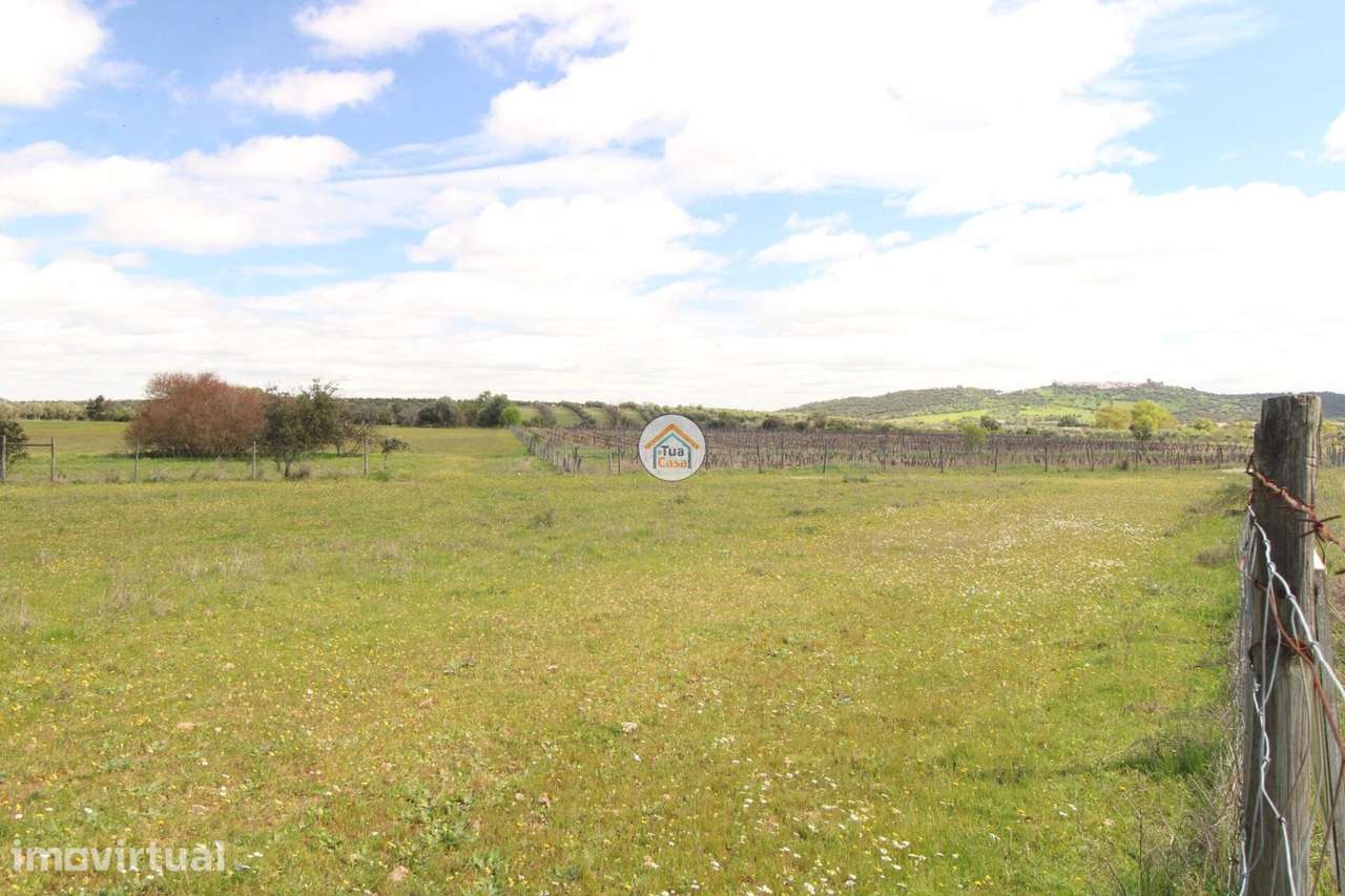 Terreno Rústico Urbanizável com 11.750 m2, Localizado em Motrinos em d - Grande imagem: 5/24