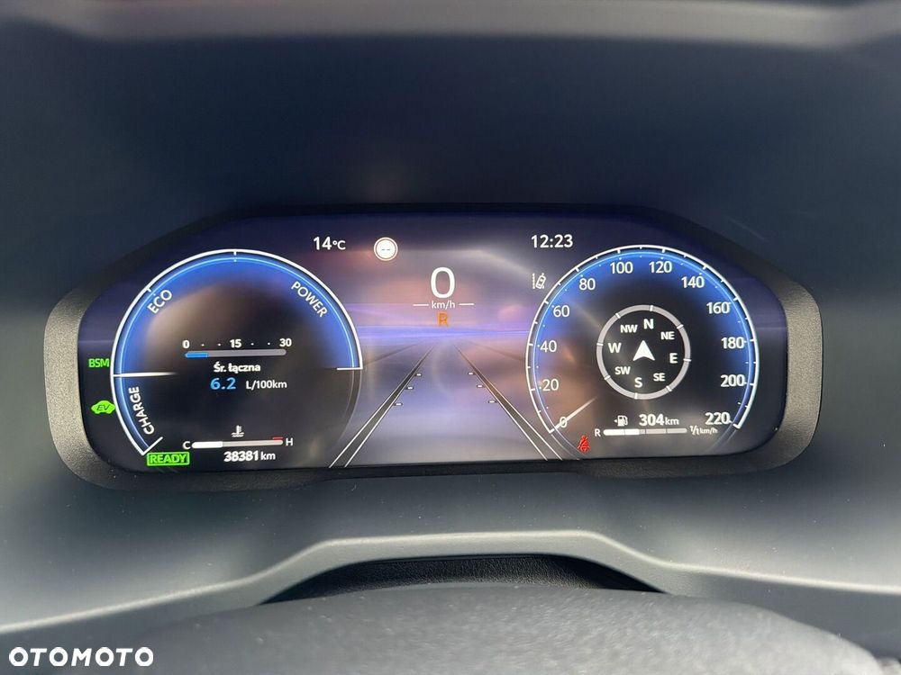 Toyota RAV4 2.5 Hybrid Executive 4x2 - 15