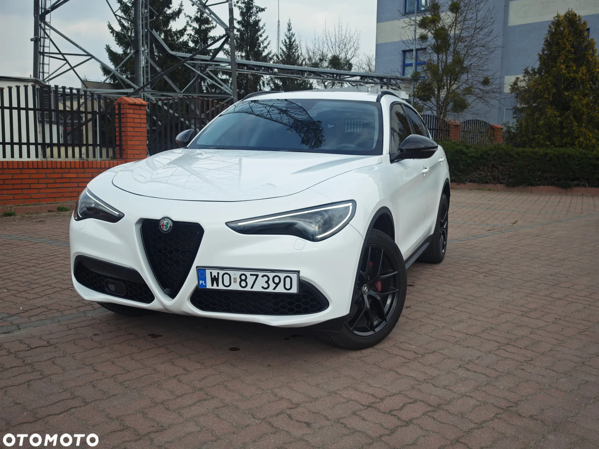Alfa Romeo Stelvio 2.0 Turbo 16V AT8-Q4 Veloce - 2