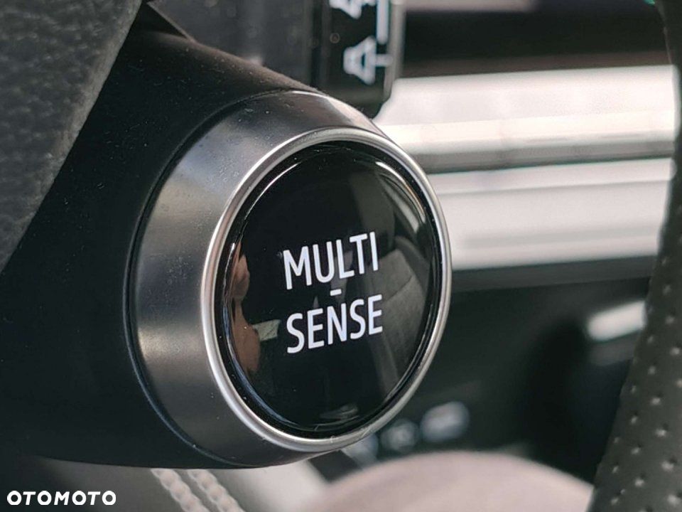 Renault Austral - 12