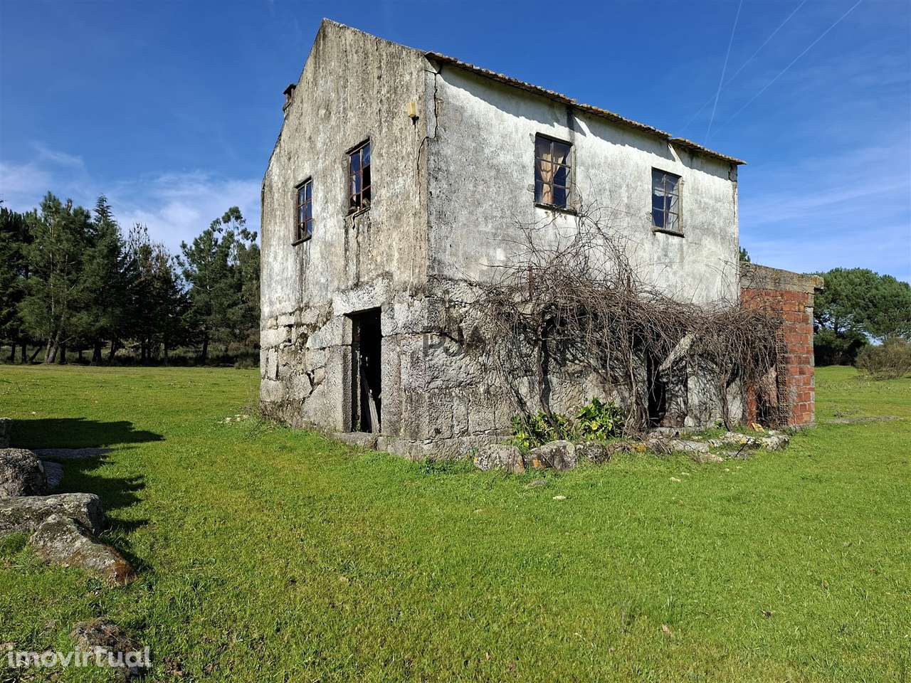 Quinta com 4,6Ha em Mangualde - Grande imagem: 2/28