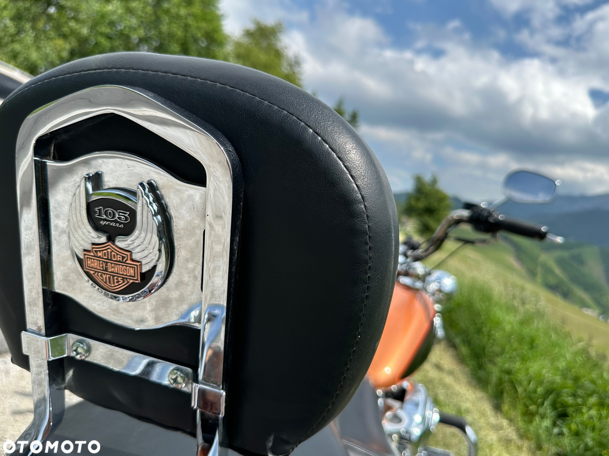 Harley-Davidson Softail Heritage Classic - 15
