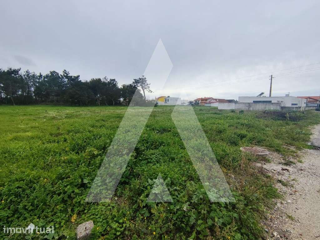 Terreno com 40 metros de frente na Gafanha do Carmo. - Grande imagem: 3/4