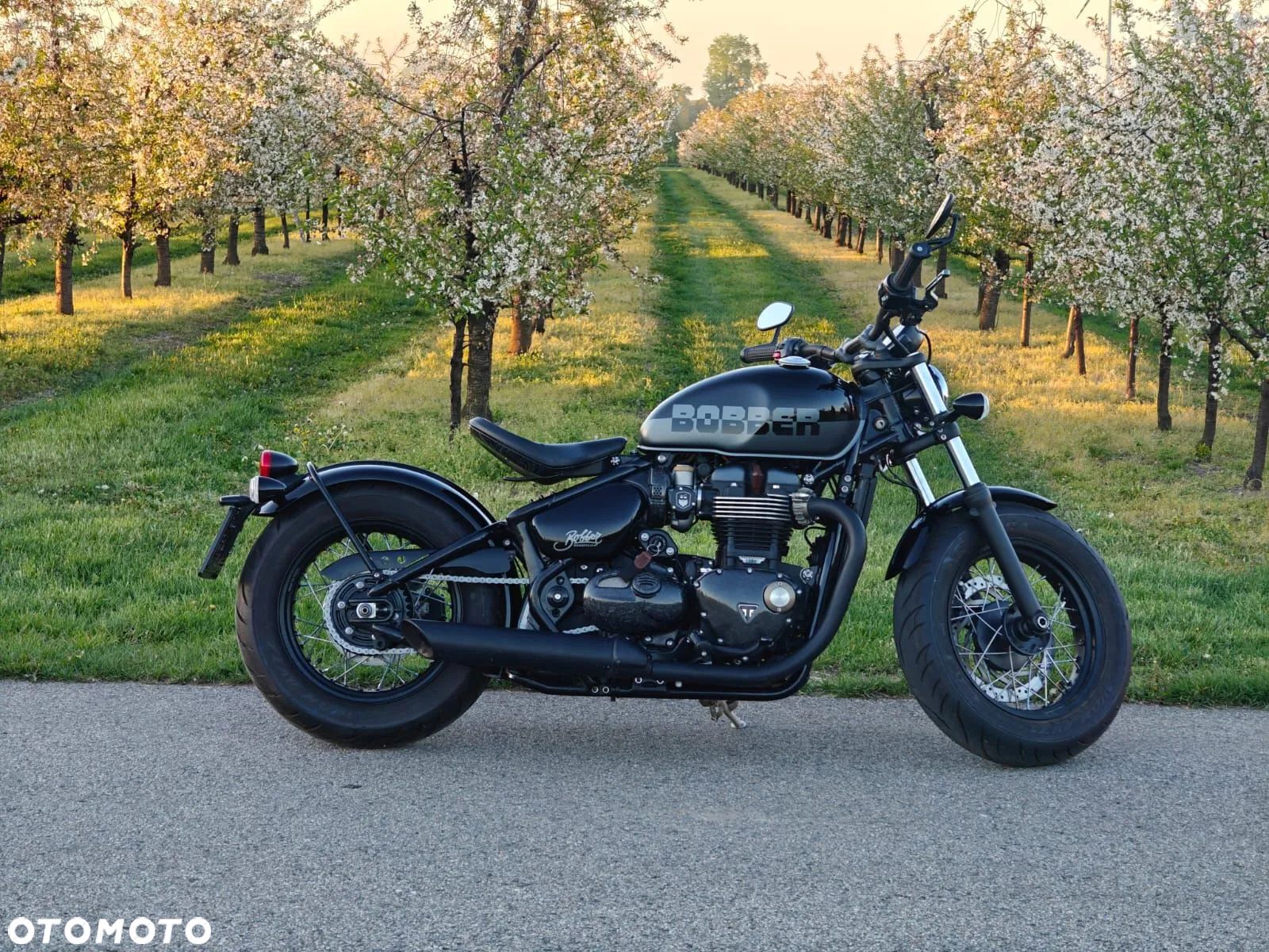 Triumph Bonneville Bobber - 1