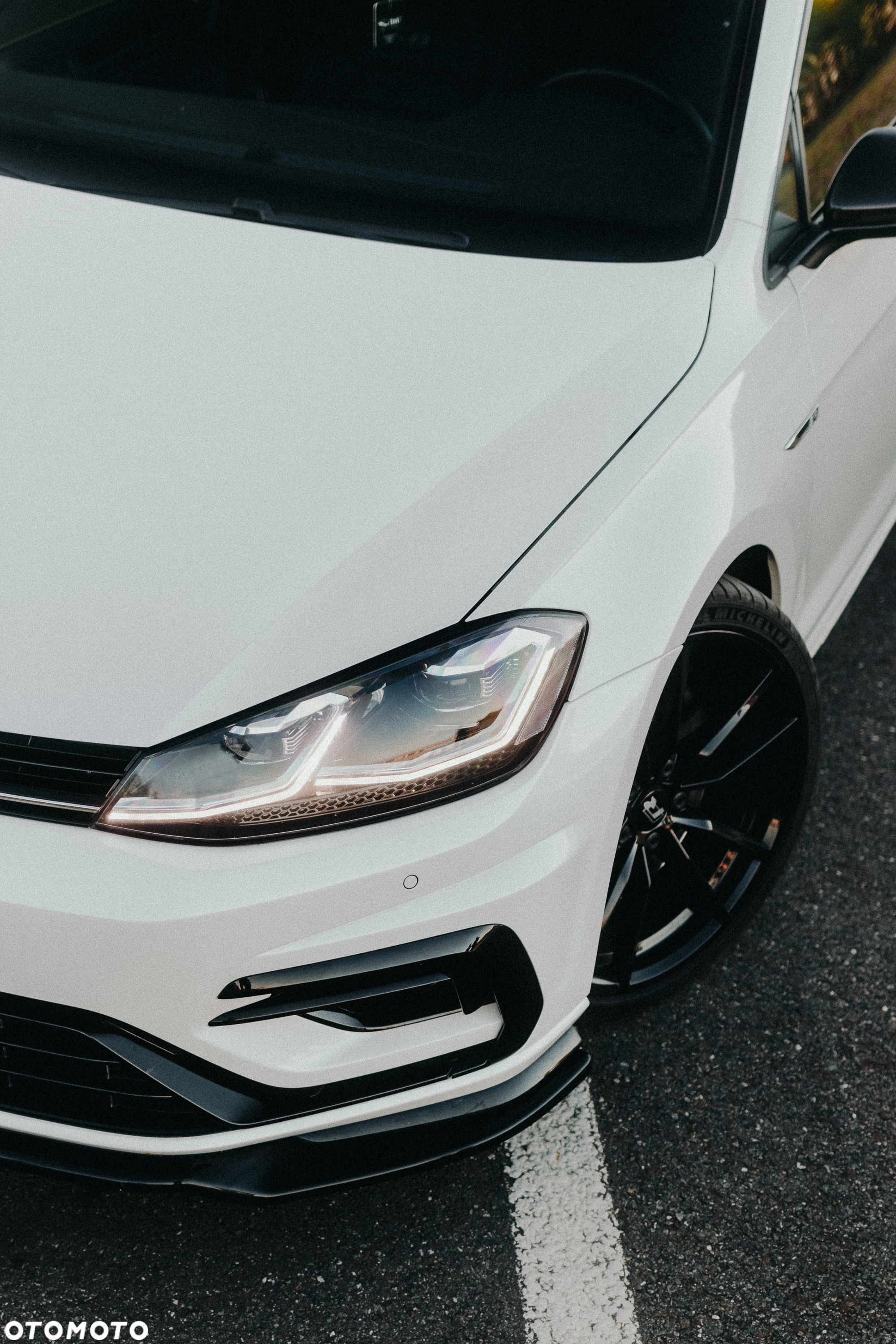 Volkswagen Golf R 4Motion (BlueMotion Technology) DSG - 30