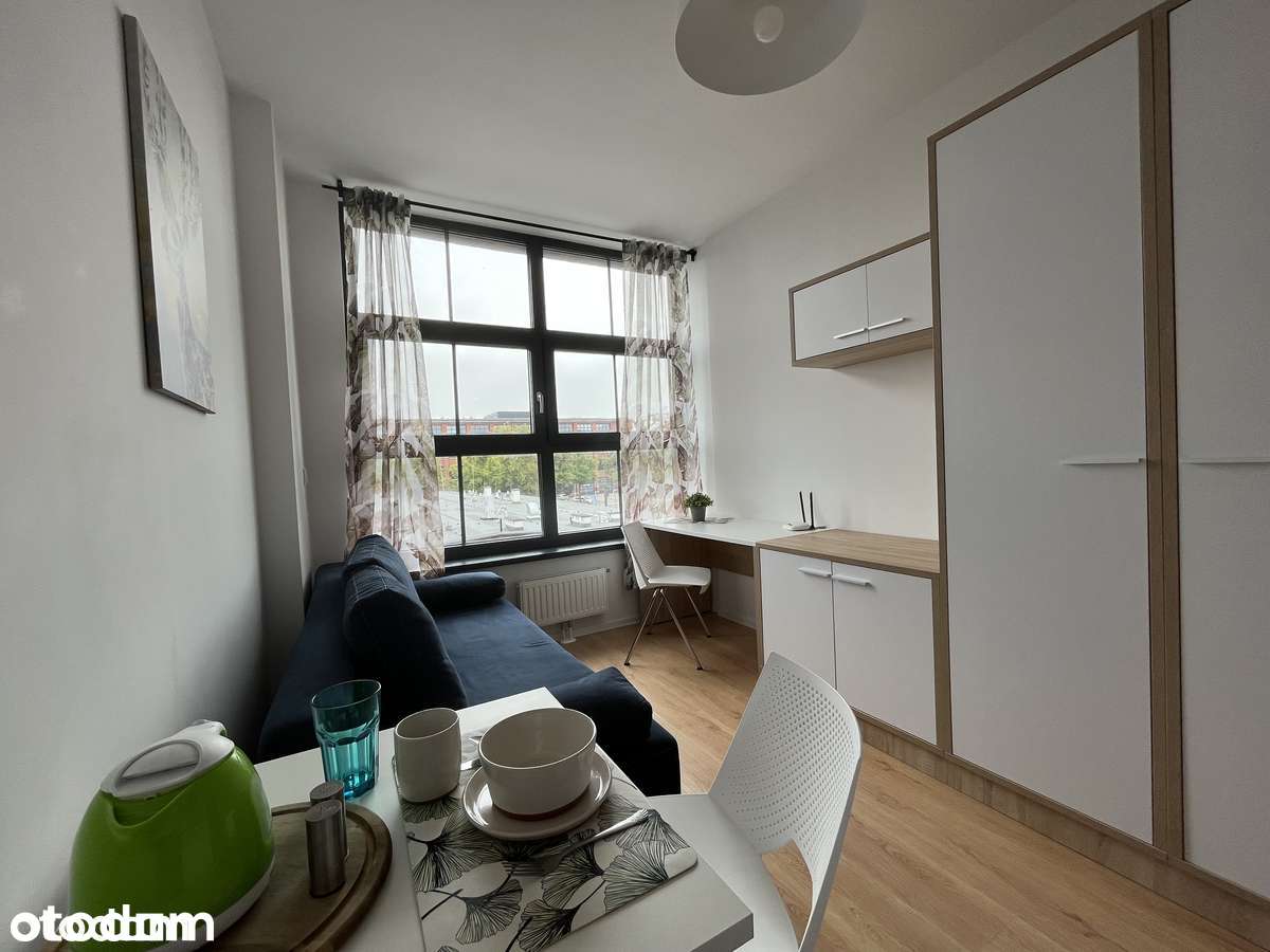 Wyposażone/klimatyzacja/loft/teren zamknięty