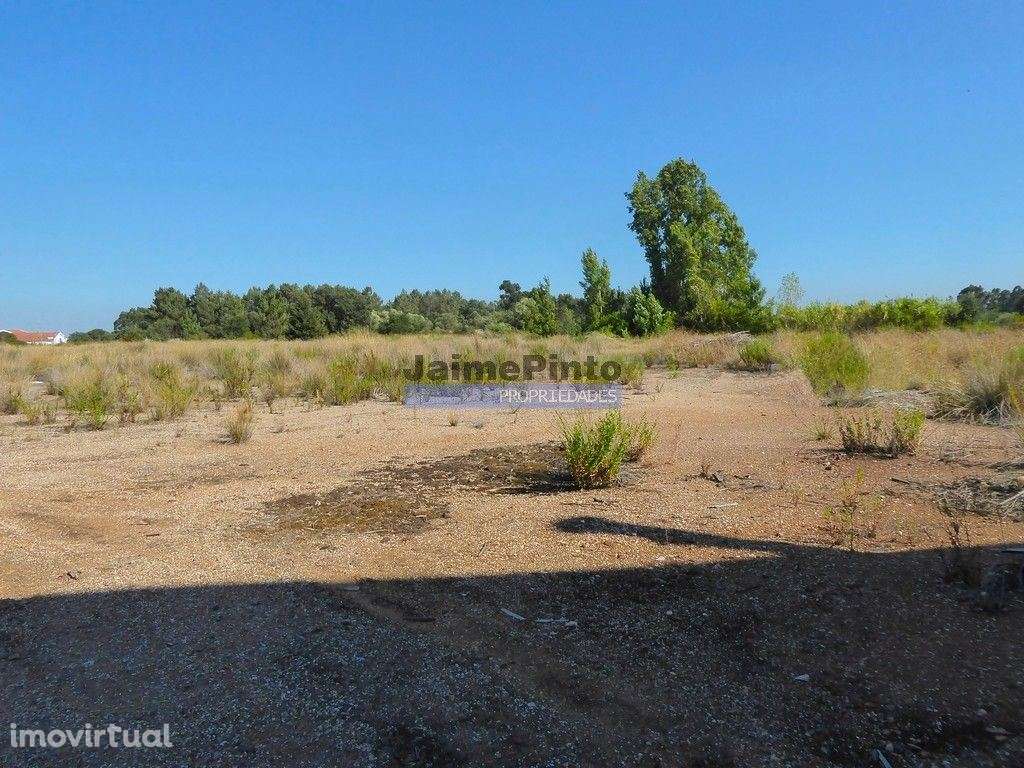 Armazéns, Instalações industriais, 19.000m2. Santarém, Cartaxo. - Grande imagem: 2/3