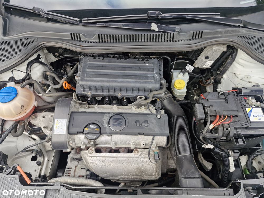 Seat Ibiza - 17