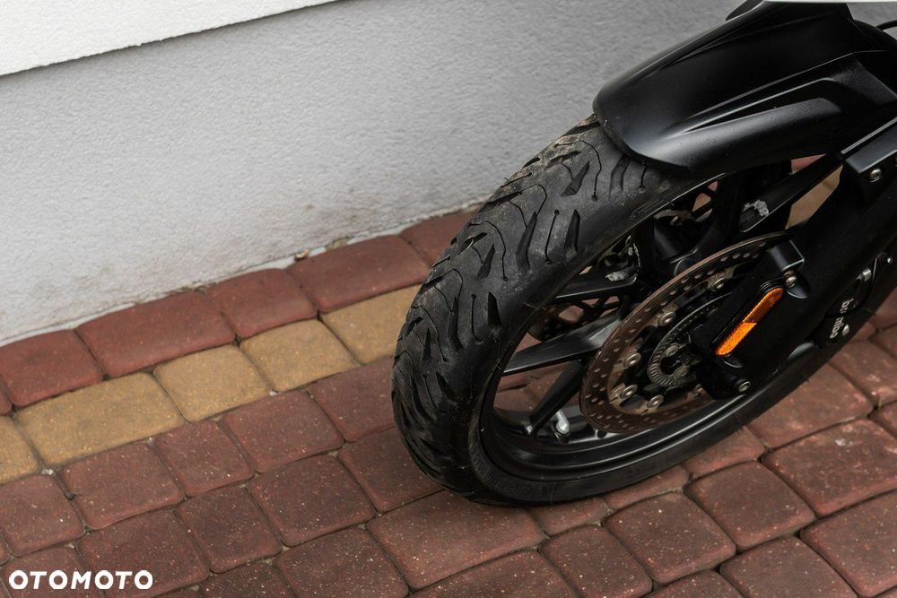 Triumph Tiger - 7