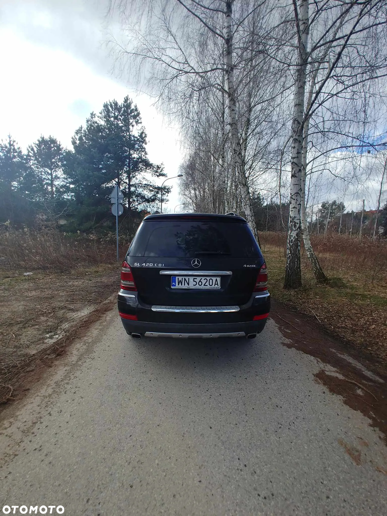 Mercedes-Benz GL 420 CDI - 2