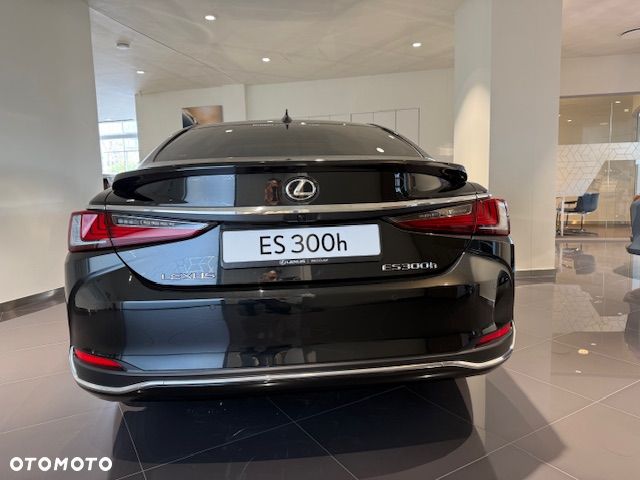 Lexus ES 300h Omotenashi - 5