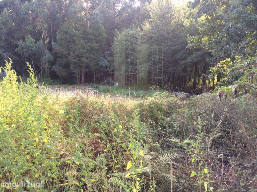 Terreno para Construção - Grande imagem: 3/5