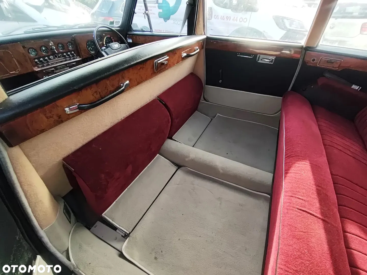 Jaguar Inny - 12
