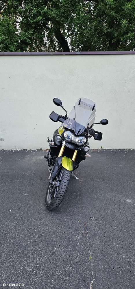 Triumph Tiger - 6