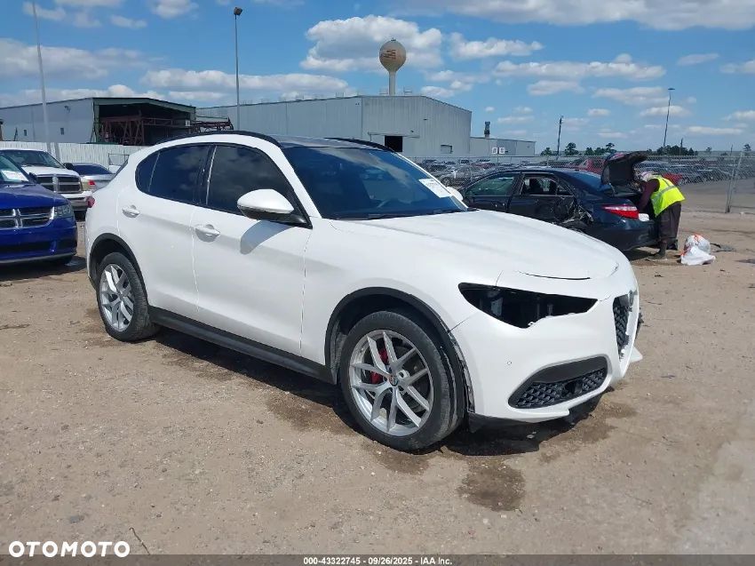 Alfa Romeo Stelvio 2.0 Turbo Veloce Q4 - 3