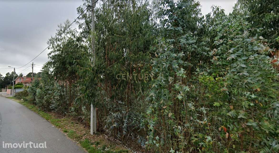 Terreno com 4.160m2 - Guisande - Grande imagem: 3/14